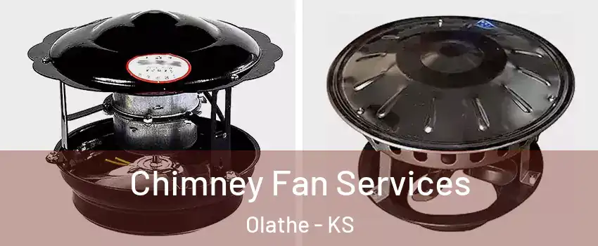 Chimney Fan Services Olathe - KS